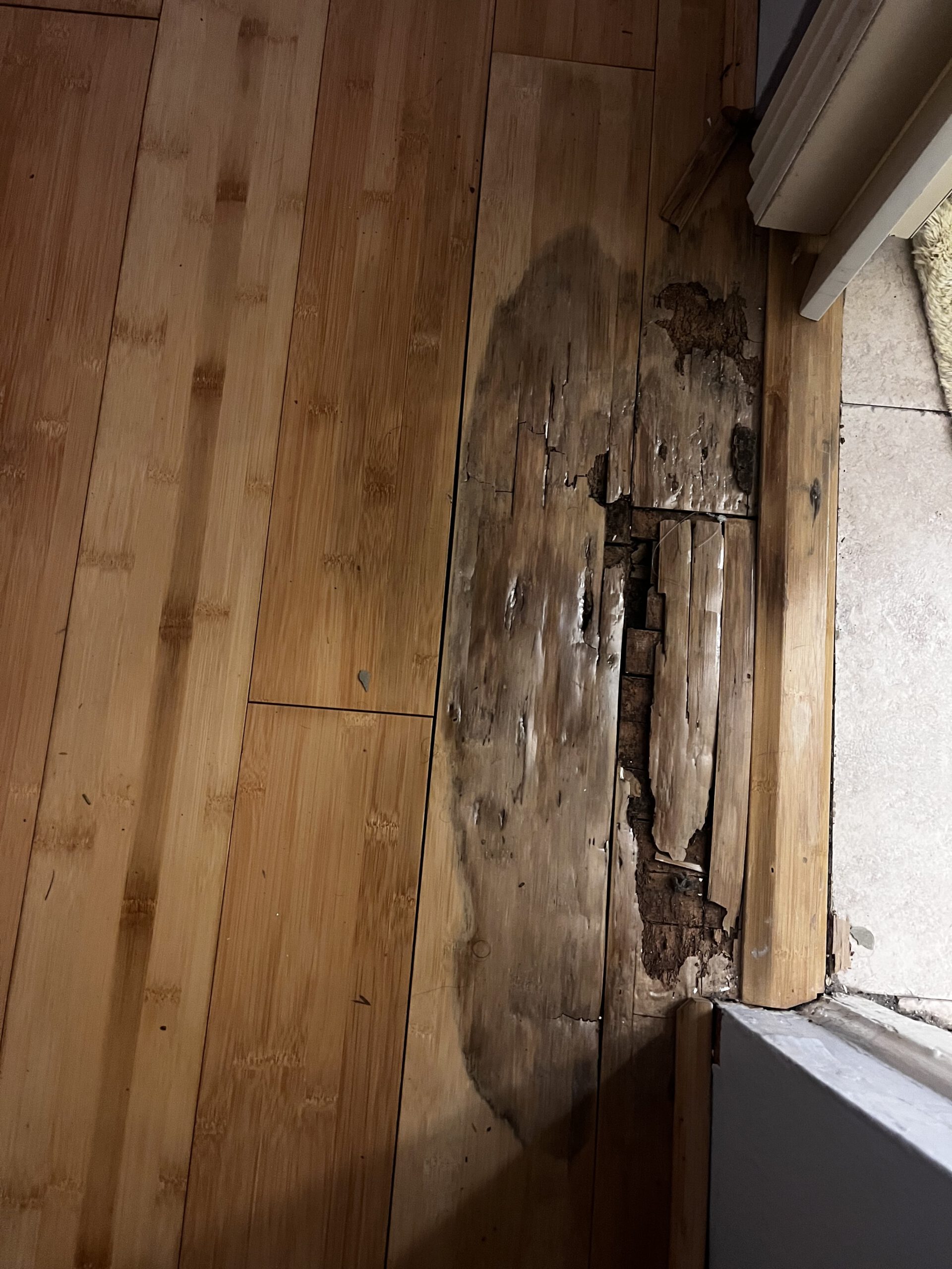 Bamboo repair after flooding — BEFORE — Sarasota