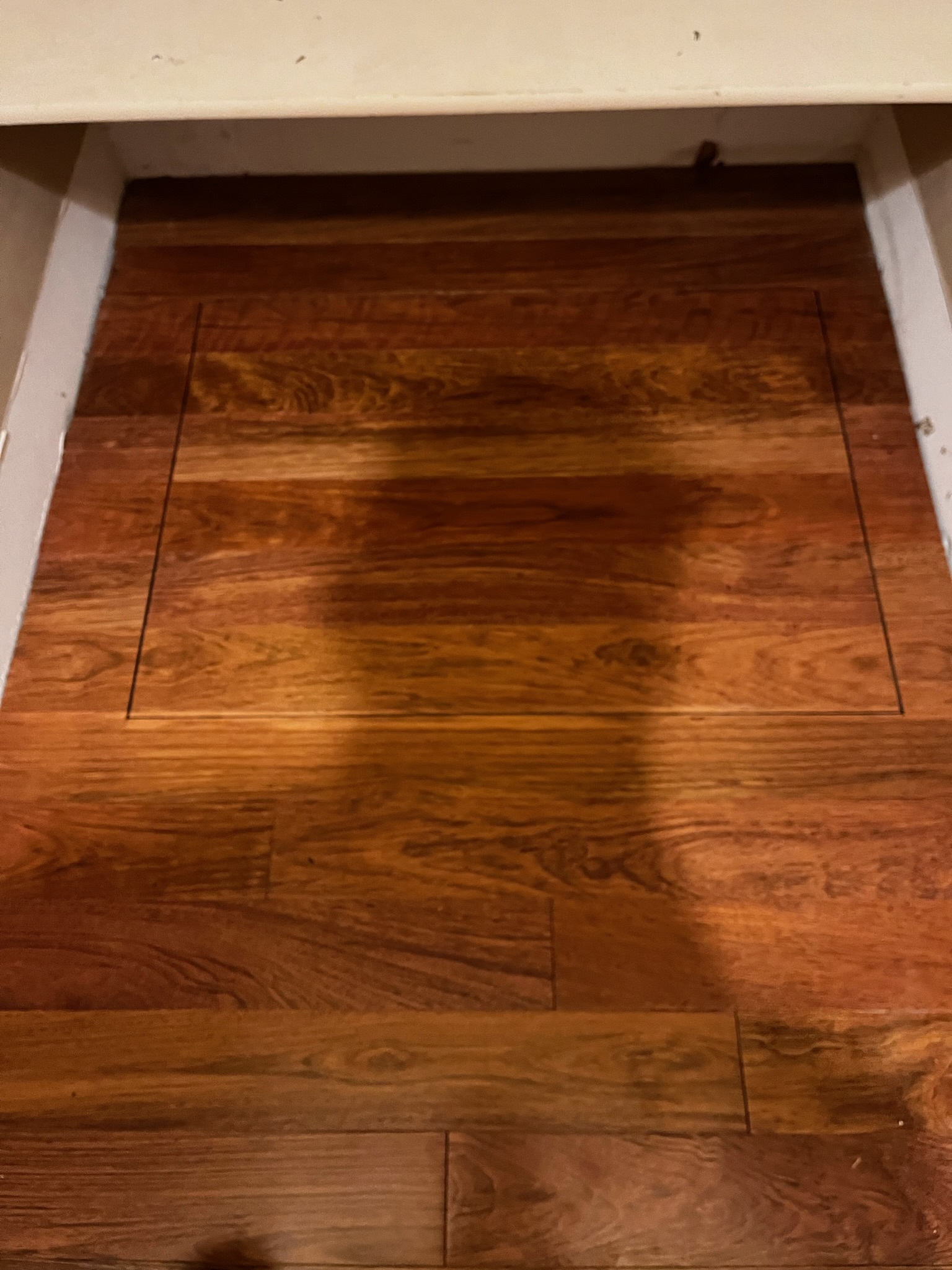 Hidden access hatch — Caldwell, ID